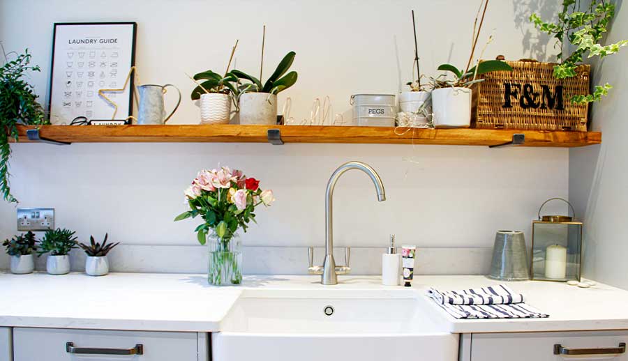 Indoor plants in a kitchen utility room