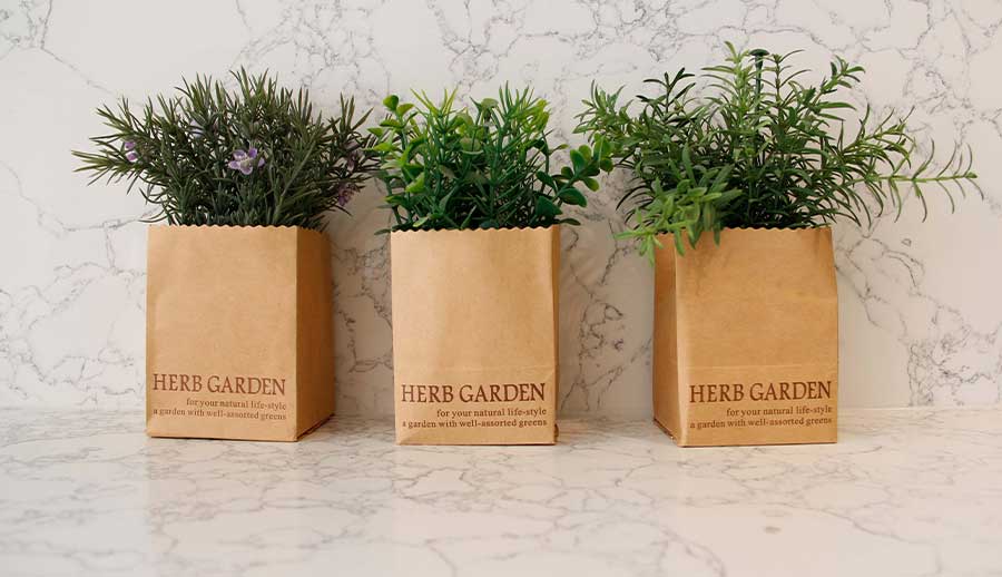 Plants for kitchens