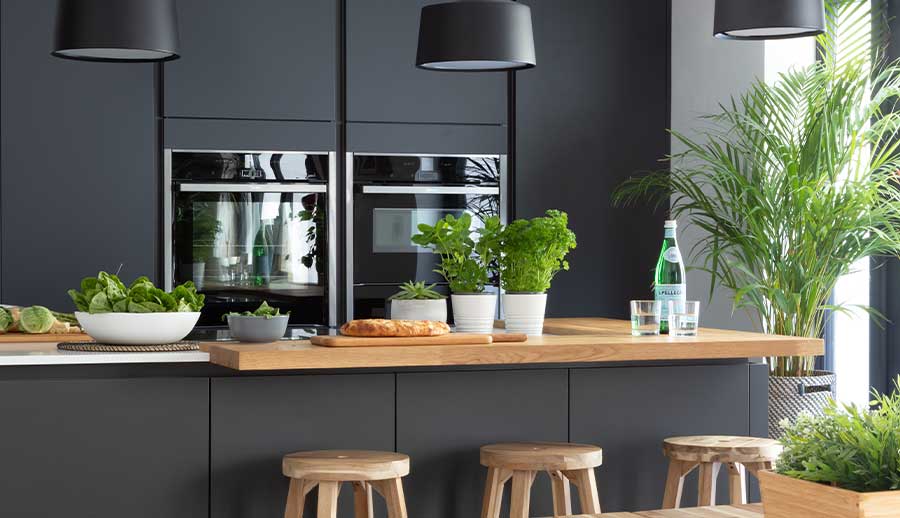 Indoor kitchen plants in a beautiful modern kitchen