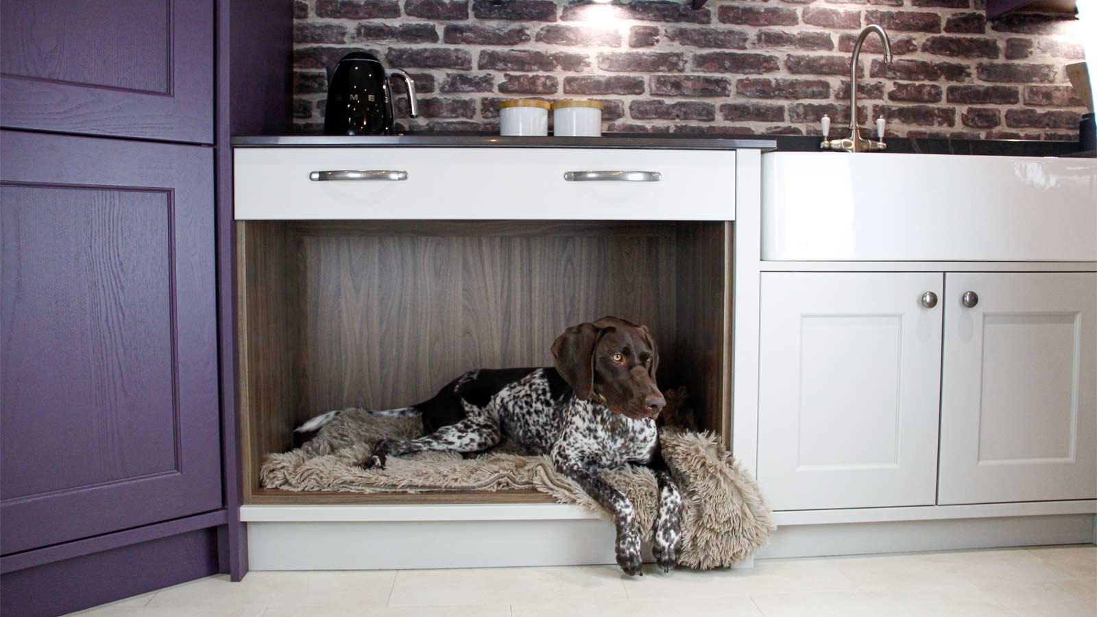 Biophilic design style kitchen featuring a pointer dog under a chef’s table