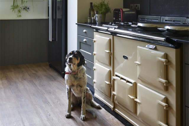 Dog next to an Aga