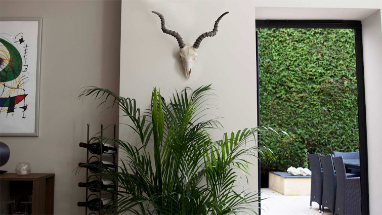 A Japandi-style space using feng shui plants and Japanese philosophy