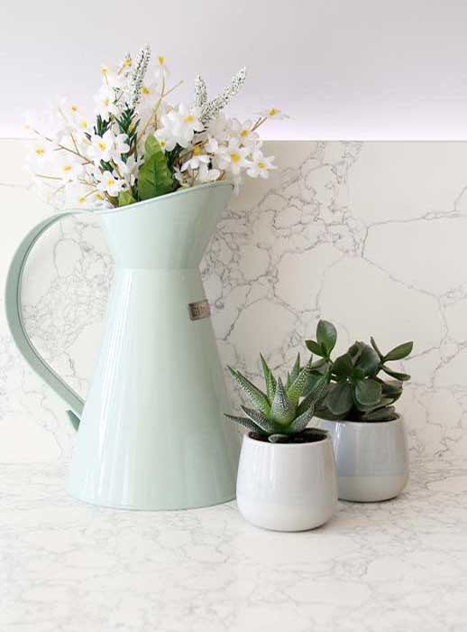 Indoor Plants for Kitchens Blog Masterclass Kitchens®