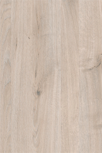 Blonde Oak Kitchen Door Colour Sample