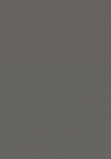 Charcoal cabinet door