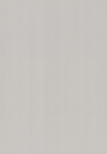 Light Grey cabinet door